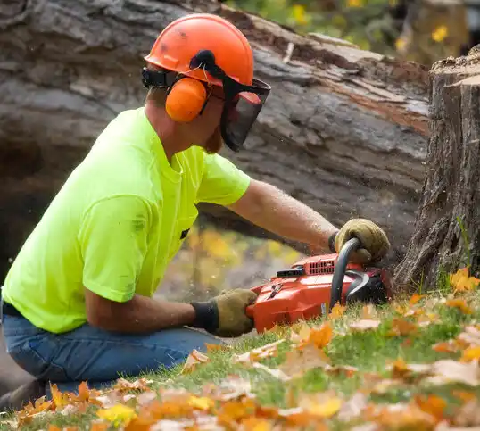 tree services West Hattiesburg